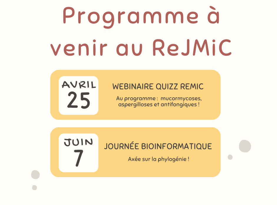 REJMIC0324
