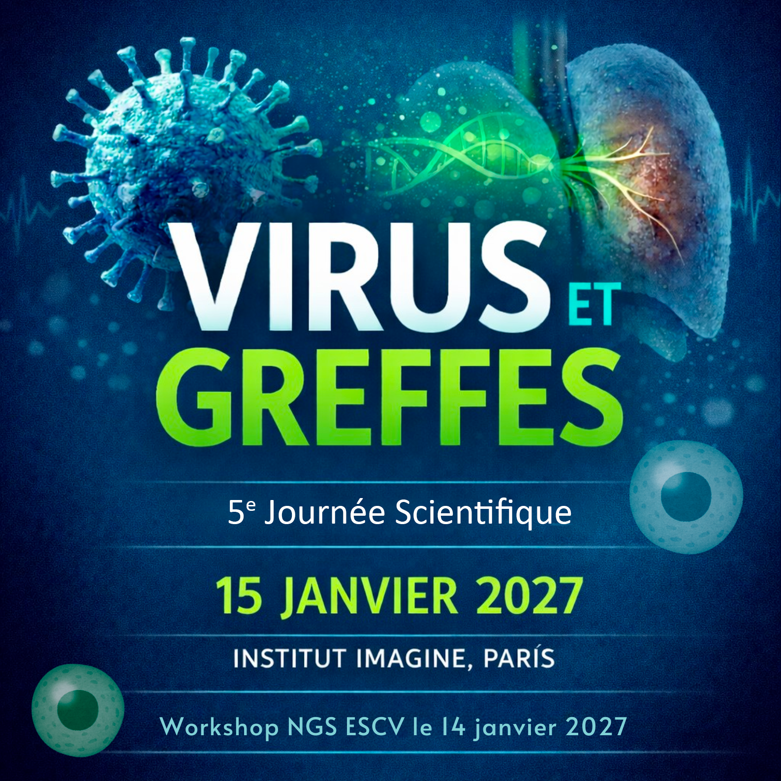 Virus et greffes 2027 2 Virus et greffes 2027 2